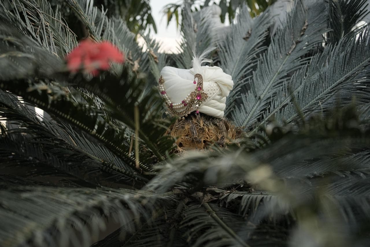 Indian wedding groom sehra turban on palm fronds